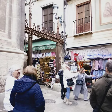 Precioso Estudio En El Corazon De * Granada