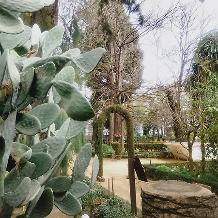 Precioso Estudio En El Corazon De Apartment *