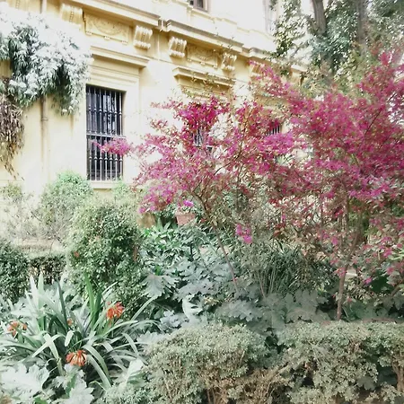 Apartamento Precioso Estudio En El Corazon De Granada