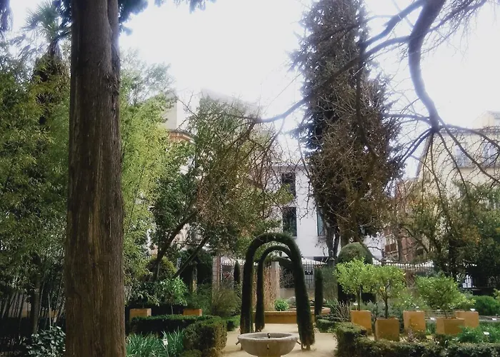 Precioso Estudio En El Corazon De